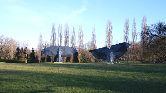 Walfluken ragen aus der Wiese in Altenberge Hohenhorst